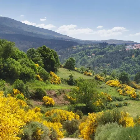 Resort New Life Portugal