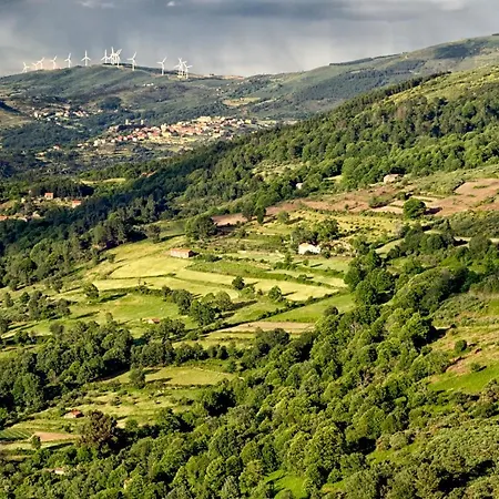 New Life Portugal Resort